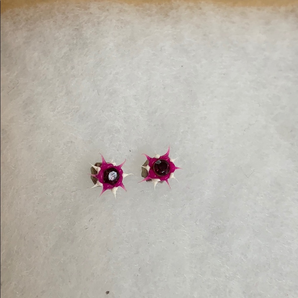 Spikey earrings